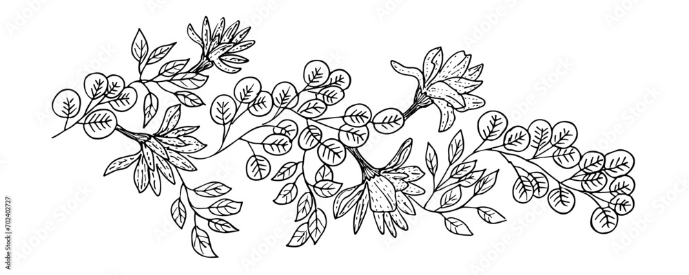 Horizontal  banner or floral backdrop decorated with gorgeous  blooming flowers magnolia and leaves border. Summer botanical doodle vector illustration on white background