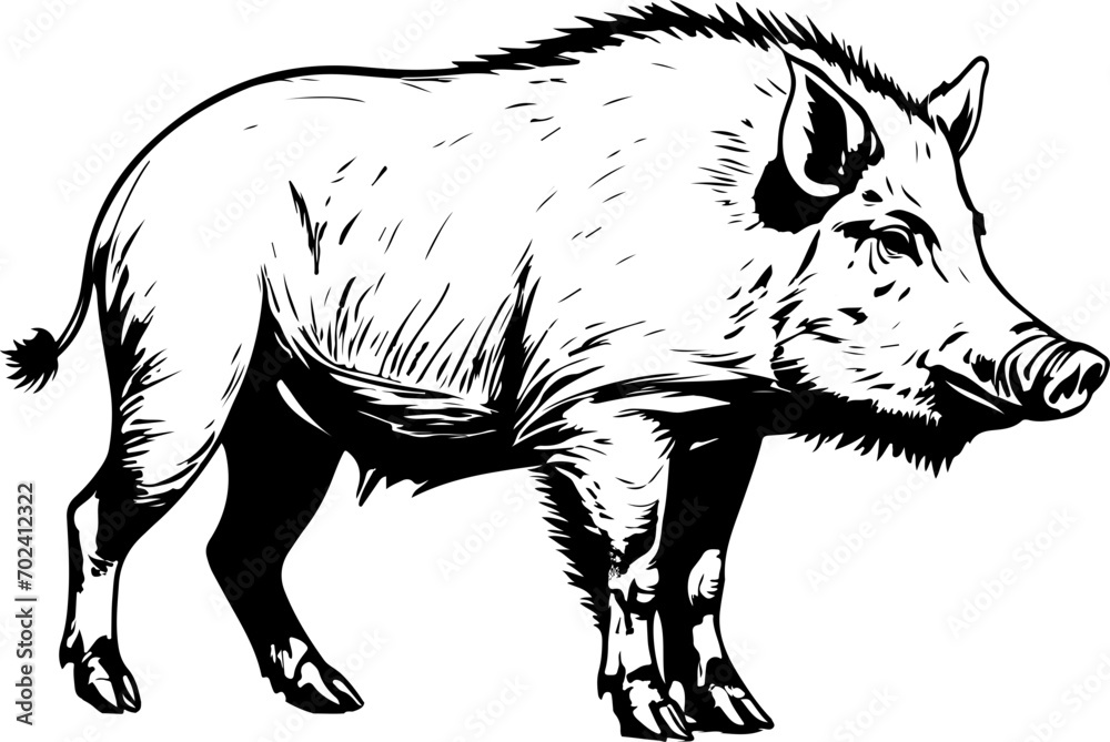 Boar SVG bundle, wild boar SVG, wild boar PNG, wild boar cricut, zoo animal svg, boar laser cut, animal svg, boar clipart, wild pig svg