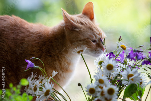 Sniffing flowers