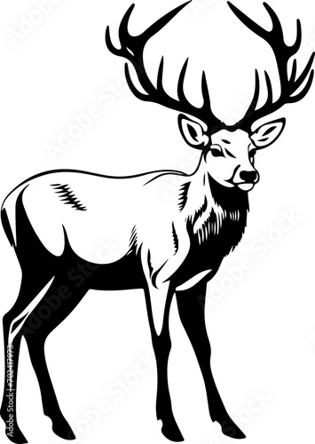 Deer SVG bundle  Deer SVG  deer outline svg  3d deer svg  deer hunting svg  white tail deer svg  baby deer svg  deer scene svg