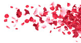 Scattering rose petals in the air, cut out
