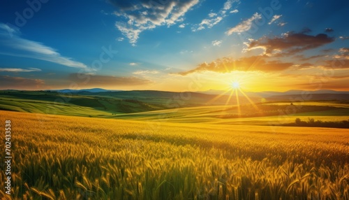 Sunrise over serene countryside vibrant wheat fields and clear blue sky with fluffy clouds