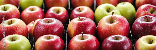 Apples, prepped for immediate shipment, are stored in a chilled warehouse. A fruit processing facility is engaged in the production of juice, cider, and vinegar