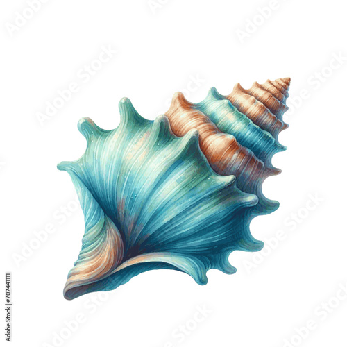 Colorful sea shell watercolor paint. Vector Illustration photo