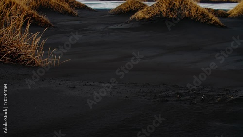 Black Beach Texture with yellow grass icelandic moss forming patterns in Iceland photo