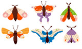 Simple vector illustration of a set of moths.Flying creatures on a white background.