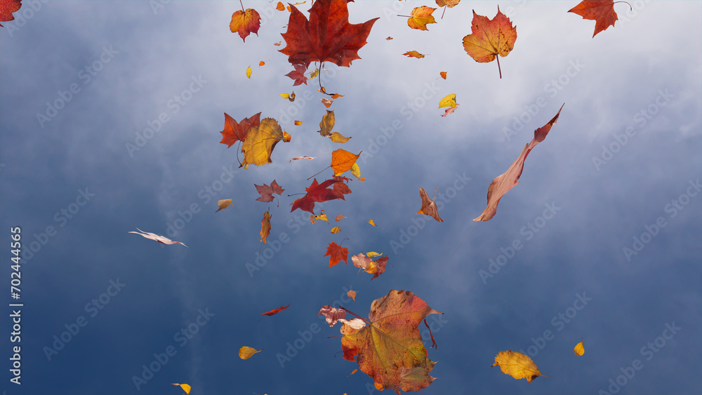 Fall themed Background, with Leaves against Hazy Sky. Holiday Banner with copy-space. Fall themed Background, with Leaves against Hazy Sky. Holiday Banner with copy-space.