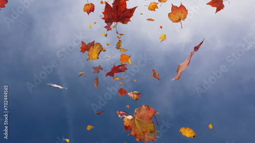 Fall themed Background, with Leaves against Hazy Sky. Holiday Banner with copy-space.