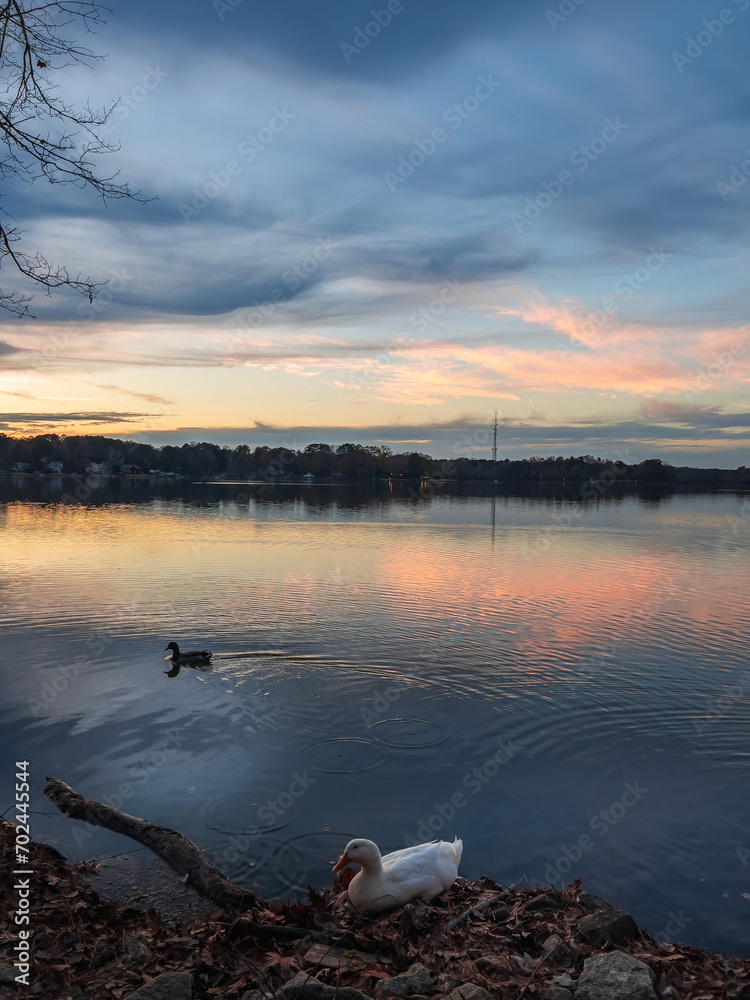 Beautiful lake with reflections in the water at sunset with spectacular colors. landscape photography