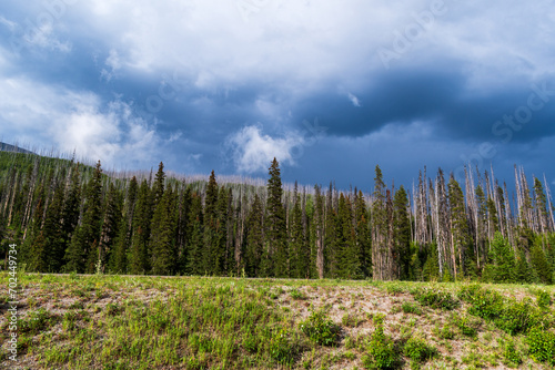 Landscape Summer Thunderstorm, Kootenay National Park