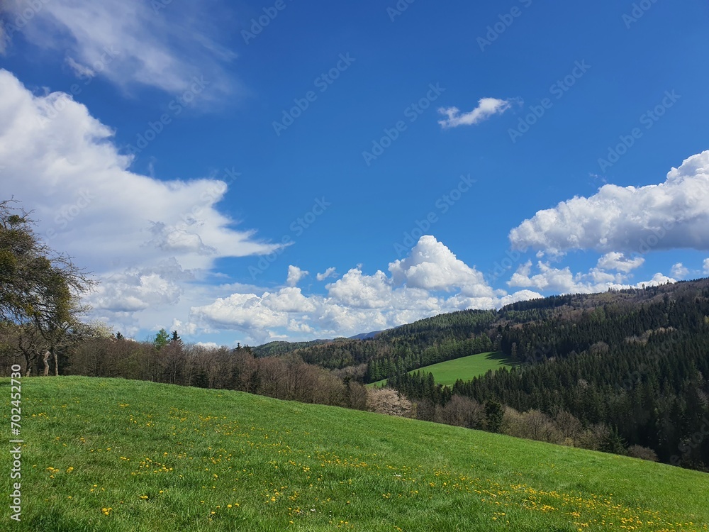 Idyllic austrian landscape: Green rolling hills and blue sky with some white clouds on a summer day. copy space for text
