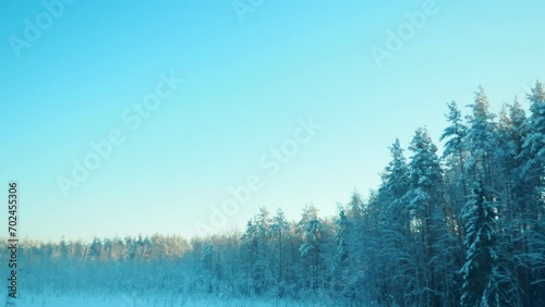 Winter train journey into a snowy fairy tale. View from the window of a moving vehicle onto a snow-covered, windless taiga forest. White snowdrifts, spruce and pine trees under snow cover. Karelia photo
