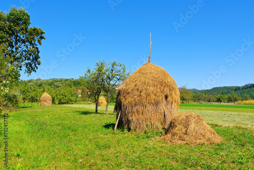 typische Heuschober auf einem Feld in Rumänien - haystacks in a field in Romania