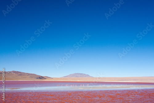 Laguna Colorada view, Bolivia