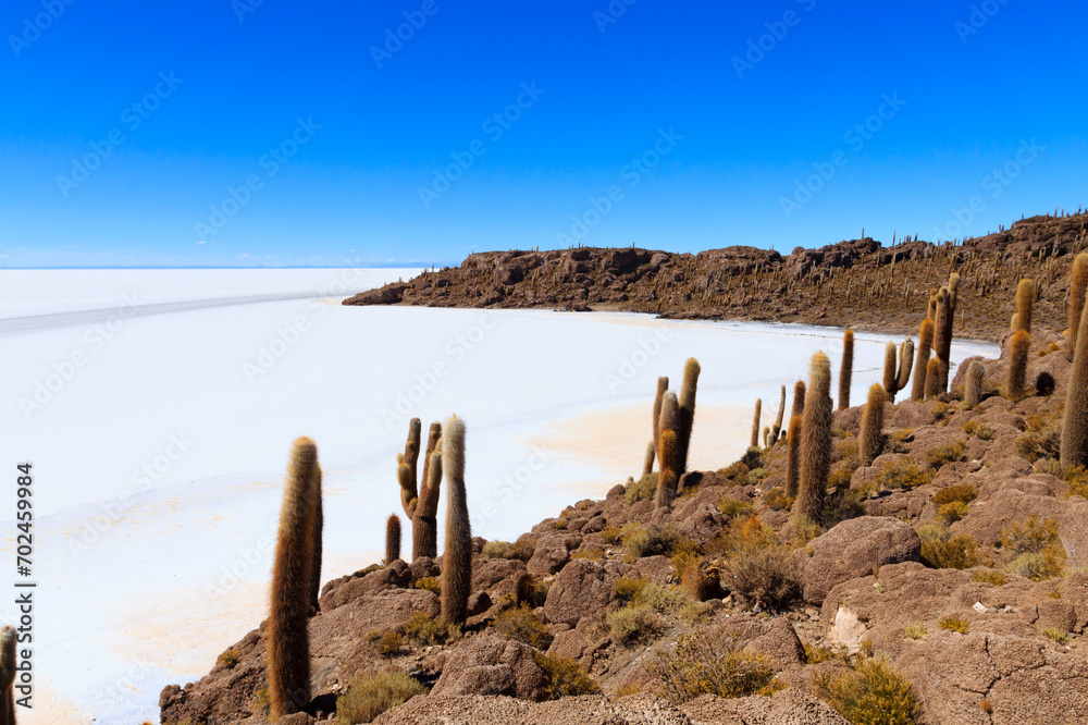 Salar de Uyuni view from Isla Incahuasi