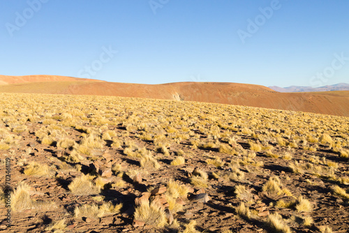 Morejon lagoon view, Bolivia photo