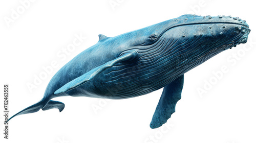 Big blue whale, cut out - stock png. photo