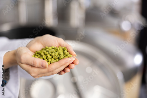 Hands of female brewer holding handful of pelletized hops. Concept of organic ingredients for craft brewing ..