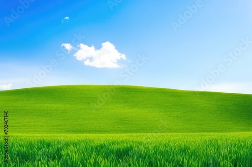 A green meadow on a bright sunny morning, green grass and blue sky.