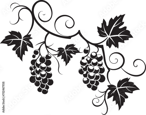 Vineyard Essence Grapevine Vector Emblem Fruitful Connection Grapevine Black Symbol