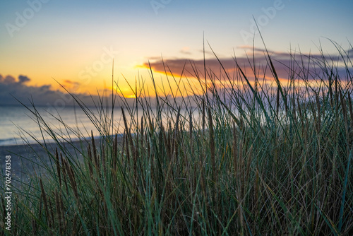 Morgentau im D  nengras mit der aufgehenden Sonne im Hintergrund am Meer