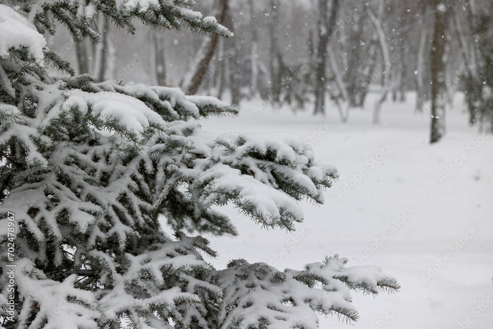 Snowfall in the park. Winter view. Snowfall in the park. Winter view.