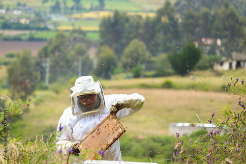 hombre latino trabajando en la naturaleza con abejas photo