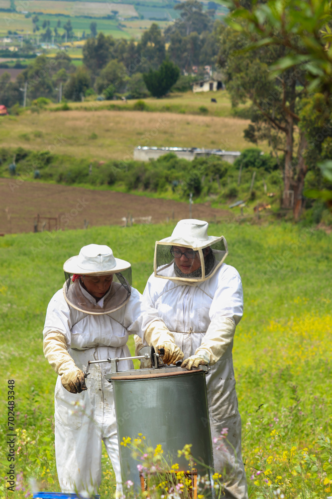 pareja de apicultores trabajando en la extracción de miel con sus trajes de protección blancos en medio de un campo con flores amarillas pareja de apicultores trabajando en la extracción de miel con sus trajes de protección blancos en medio de un campo con flores amarillas