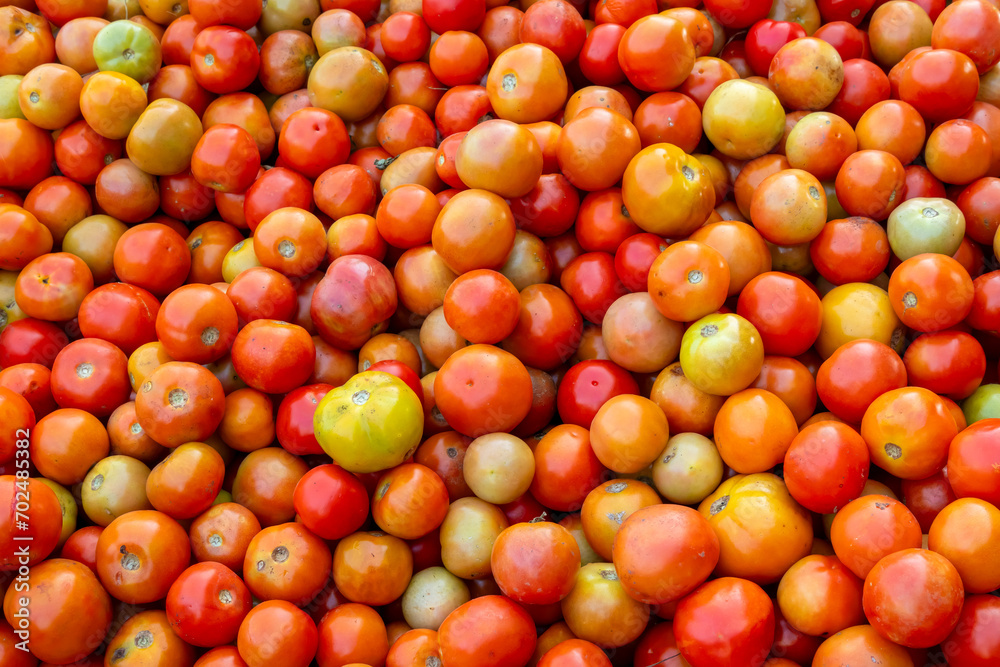 Close up view of many Organic tomatoes up for sale