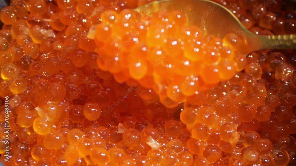 Salmon caviarand a golden spoon. Red caviar background. Gourmet food up close. Seafood and delicatessen. closeup Salmon caviarand a golden spoon. Red caviar background. Gourmet food up close. Seafood and delicatessen. closeup