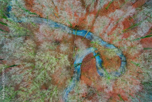 Meander of a low mountain stream in winter with beech forest, vertical aerial view, drone image, Melle, Osnabrueck County, Lower Saxony, Germany, Europe photo