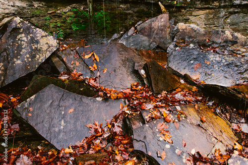 Autumn leaves scattered on dark wet rocks along the Cumberland Trail in Rock Creek Gorge, Tennessee photo
