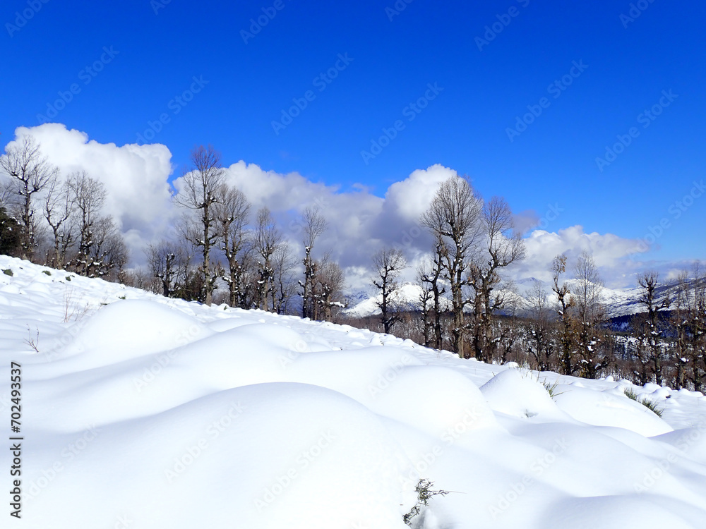 algeria, snow, white, snow algeria, algeria winter, winter, algerian, mountain, landscape, snow africa, north african snow, jijel, algeria's cold, mountains, africa, nature, forest, trees. algeria, snow, white, snow algeria, algeria winter, winter, algerian, mountain, landscape, snow africa, north african snow, jijel, algeria's cold, mountains, africa, nature, forest, trees.