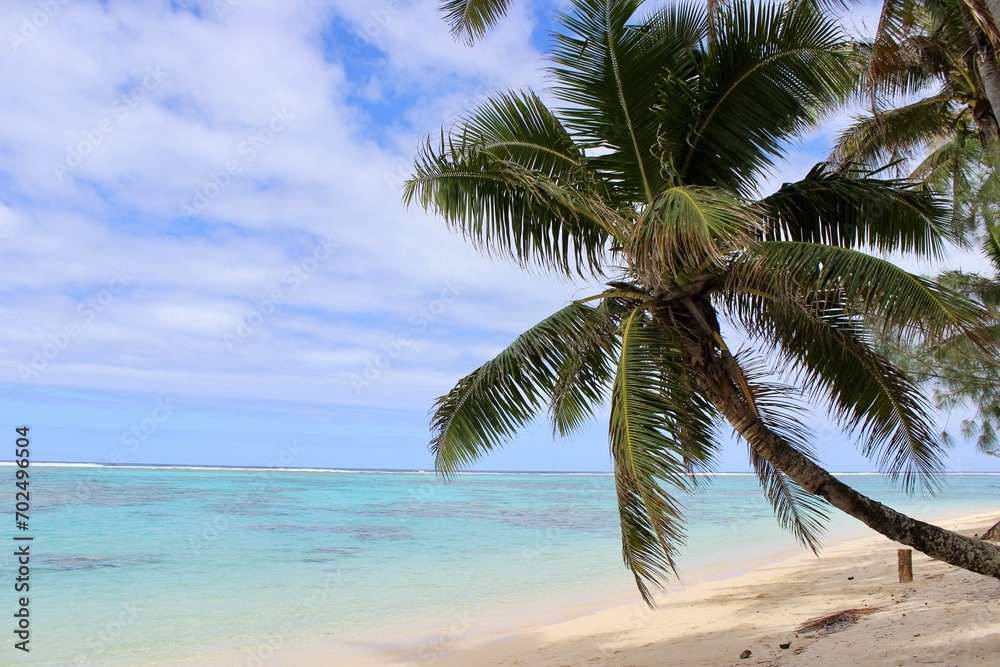Rarotonga coconut palm paradise beach white
