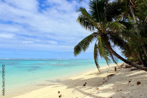 Fototapeta Naklejka Na Ścianę i Meble -  Rarotonga coconut palm paradise beach white