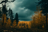 The periphery of the autumn forest, adorned with yellowed leaves, is under a blue sky overshadowed by dark clouds, suggesting an imminent rain shower.