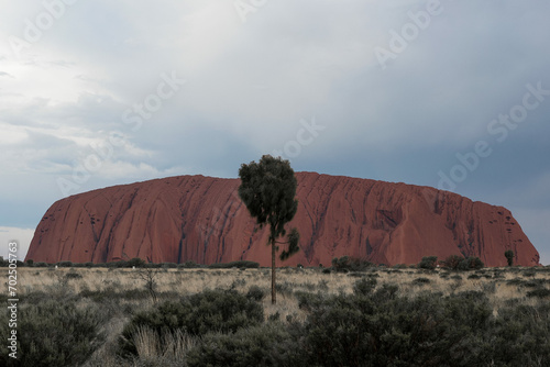 Uluru Mountain photo