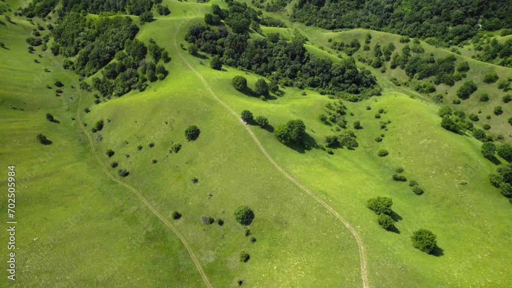 Drone flight above mesmerizing green rolling hills and trees Drone flight above mesmerizing green rolling hills and trees