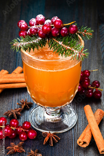Traditional autumn, winter drink. Hot apple cider with cinnamon sticks and cranberries.