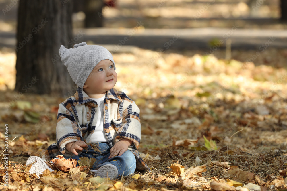 Cute little child on ground with dry leaves in autumn park, space for text Cute little child on ground with dry leaves in autumn park, space for text