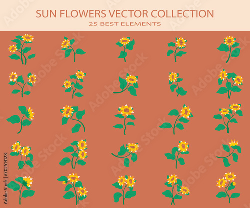Sun Flower Vector New Collection