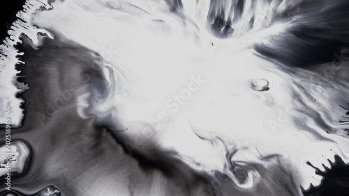 Abstract art come to life footage. Fluid motion of white and black, creating textured fractals in constant flux. The flowing effect of the liquid paint with pattern swirls. photo