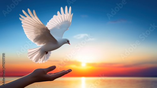 A symbolic gesture of peace and freedom as a white dove takes flight from a human hand against a beautiful sunset backdrop. © tashechka