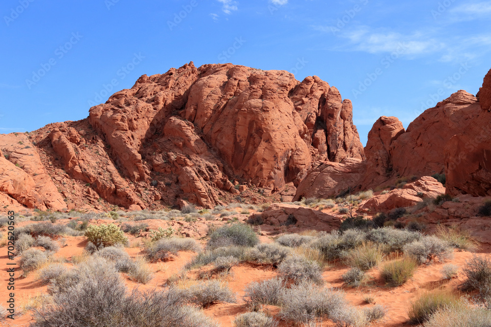 Red rock and red desert with sparse shrubs