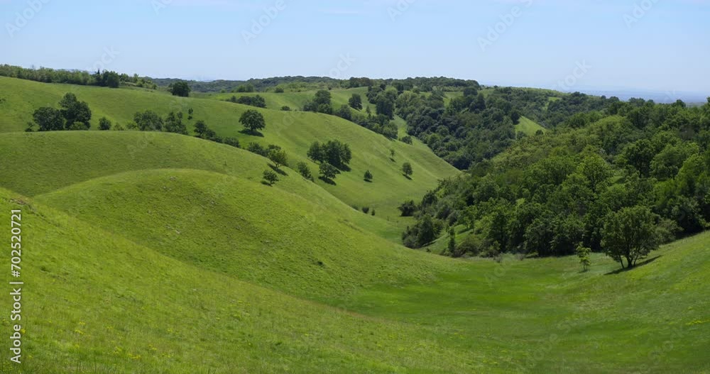 Natural landscape with green rolling hills and woods in background Natural landscape with green rolling hills and woods in background