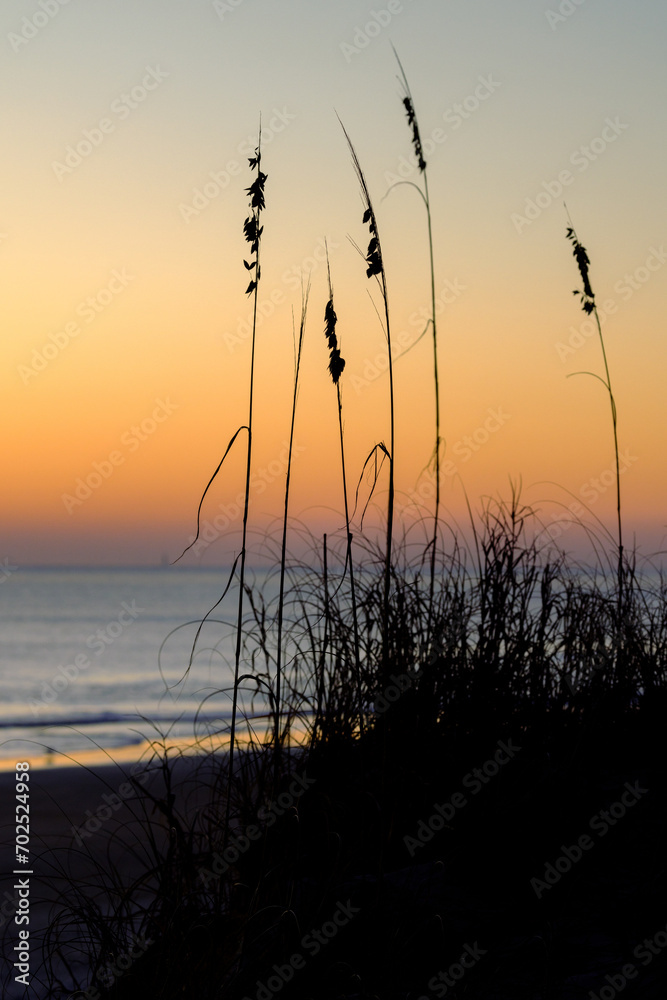 Dawn Tranquility: Sun Rising Over Saint Augustine Beach with Silhouetted Reeds