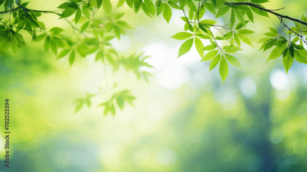 Bright green leaves under soft sunlight with a natural bokeh effect, evoking a sense of growth and freshness. Bright green leaves under soft sunlight with a natural bokeh effect, evoking a sense of growth and freshness.