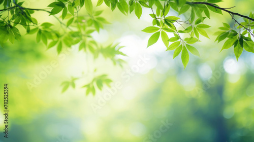 Bright green leaves under soft sunlight with a natural bokeh effect  evoking a sense of growth and freshness.