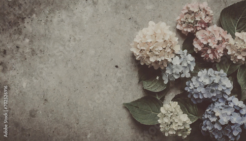 Hydrangeas on a concrete table