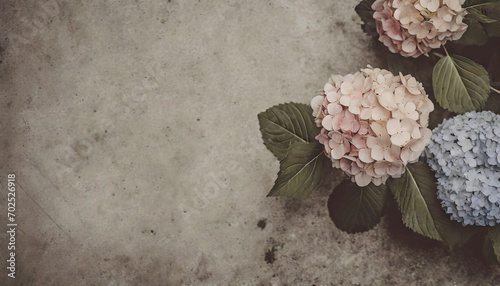Hydrangeas on a concrete table